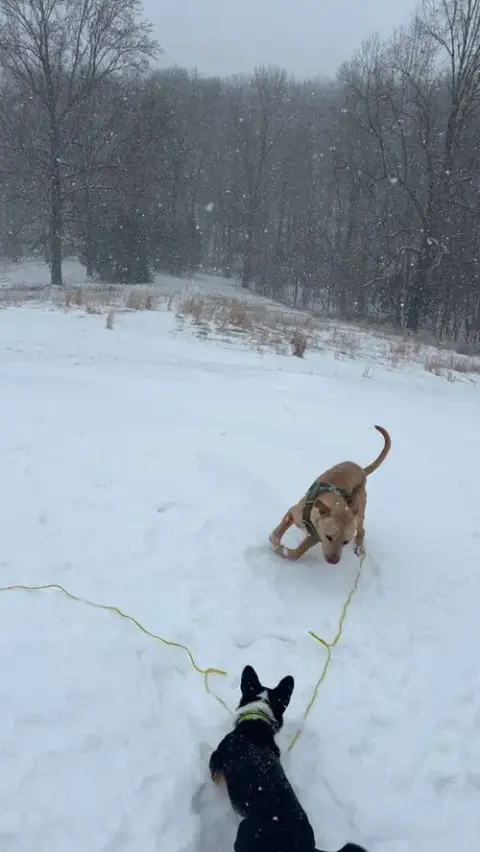 Marley Mo photo 3