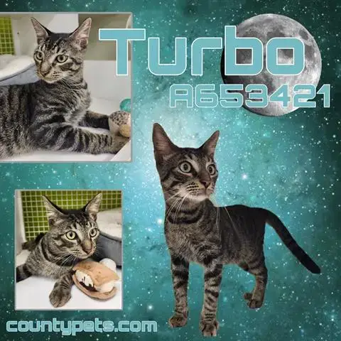 Turbo