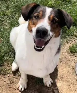 Champ photo 2