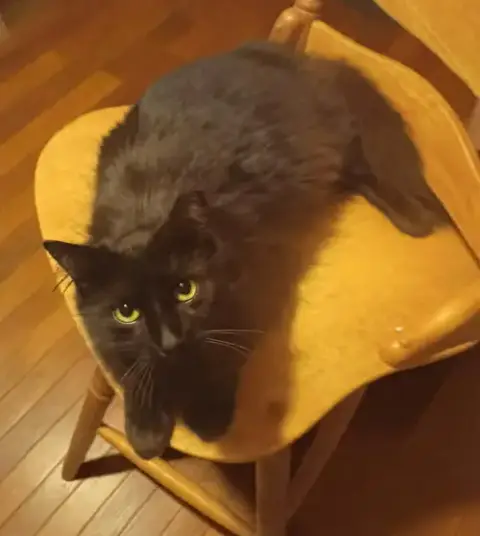 Java