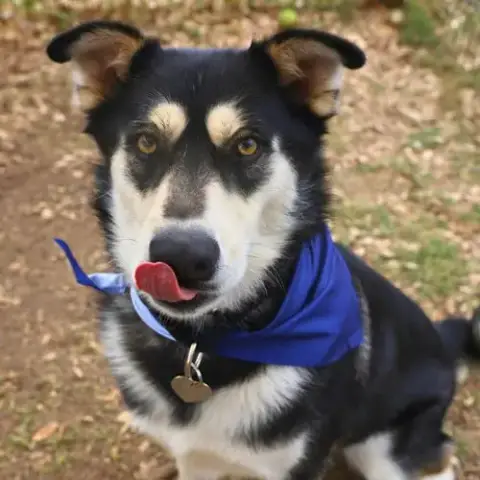 Zeus