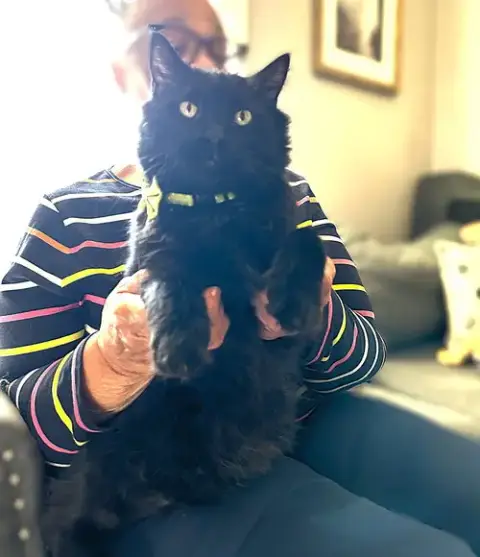Pedro Pawscal