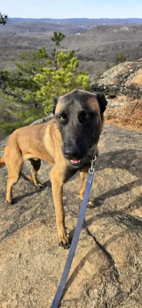 Buddy photo 4