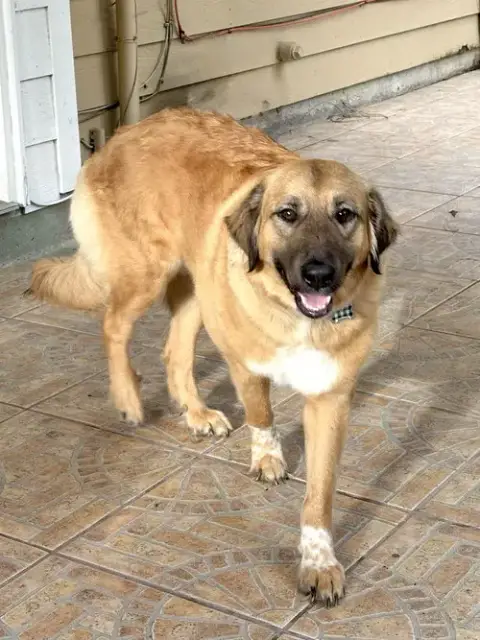 Ella photo 3
