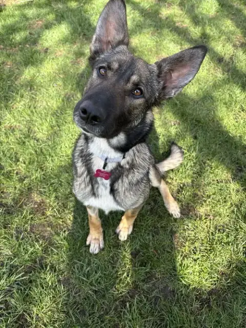 Bonnie
