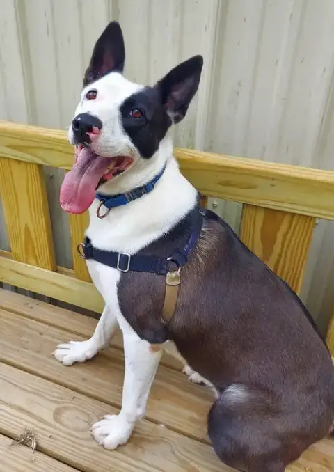 Chance photo 4