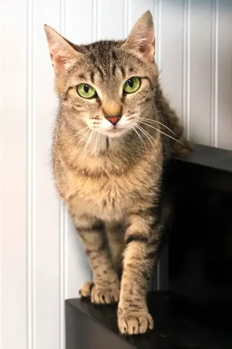Hannah photo 2