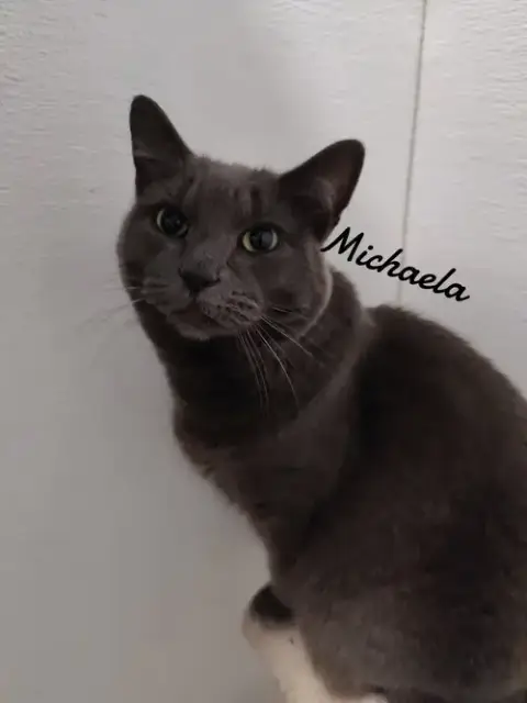 Michaela
