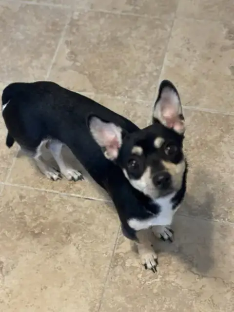 Bruce