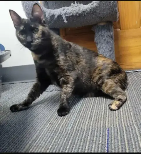 Berlioz-Special Needs Ch
