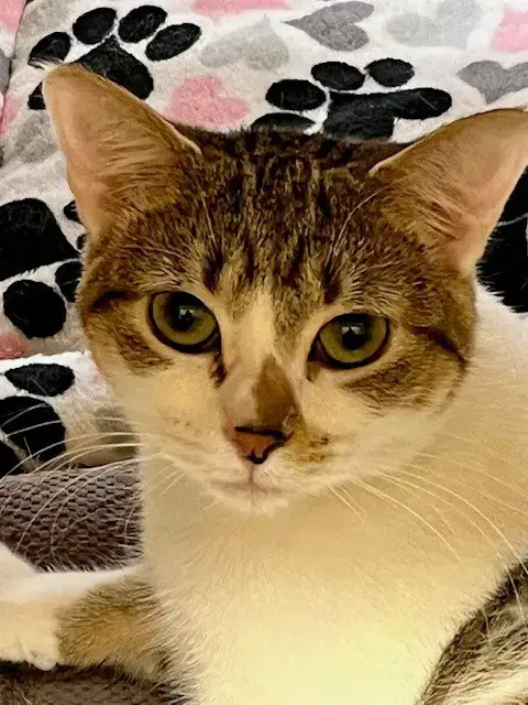 Fiona