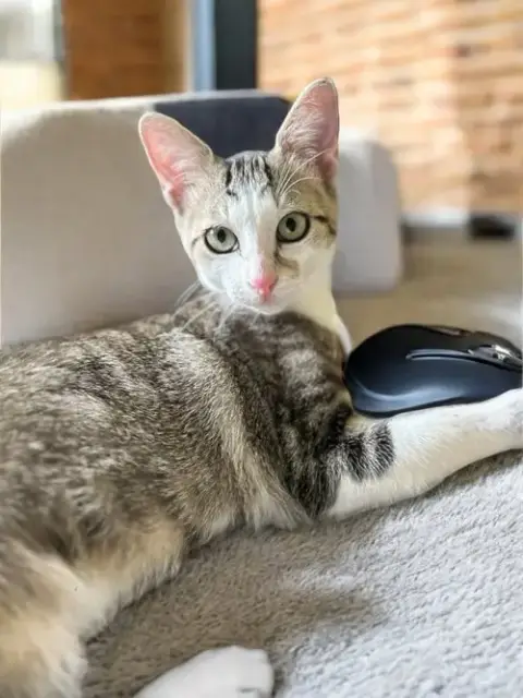 Charles