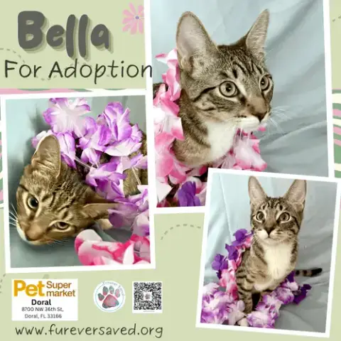 Bella