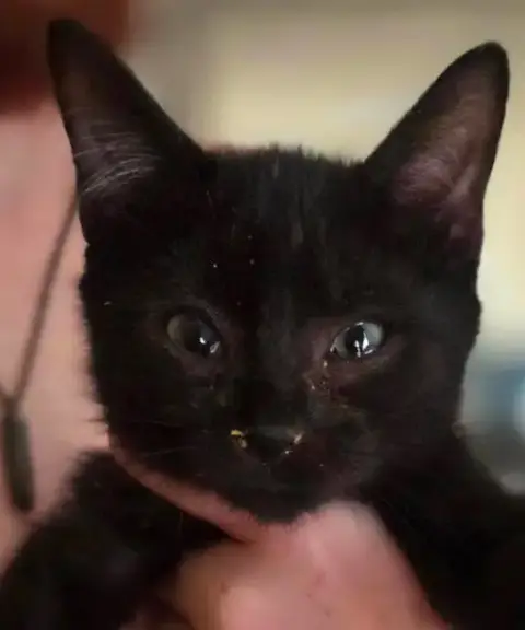 Salem