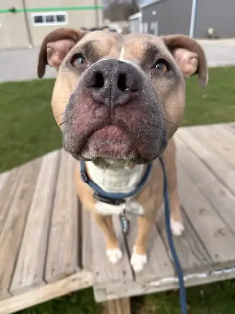 Zeus photo 3