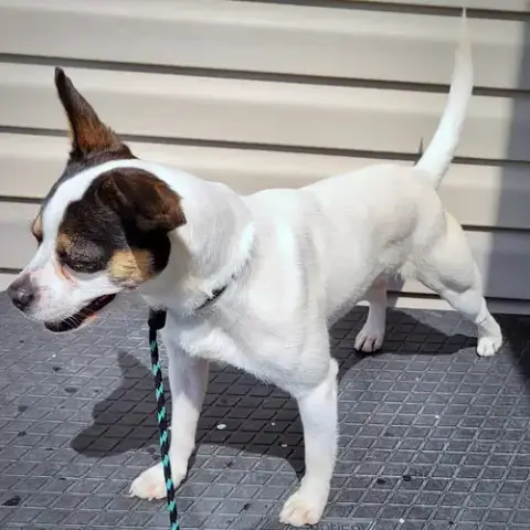 Frannie photo 2