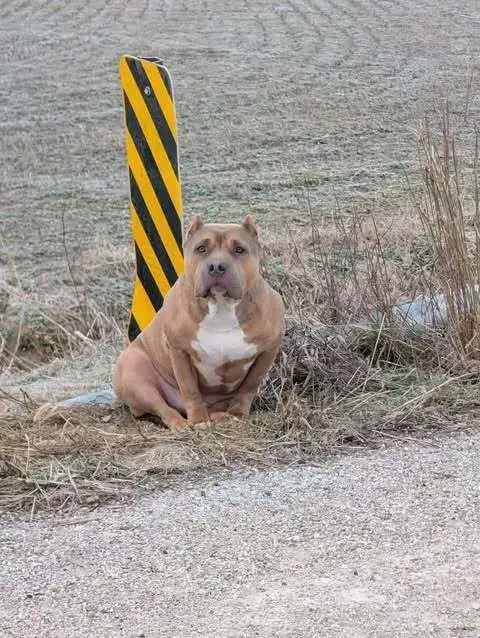 Beckham Cooper photo 4