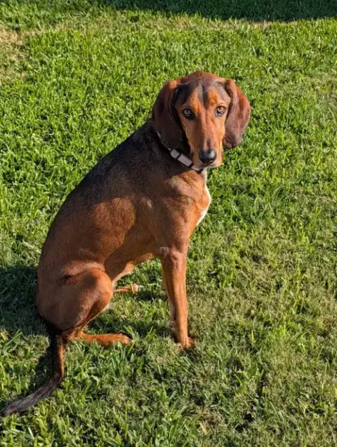 Courtesy Listing- Ruby photo 3