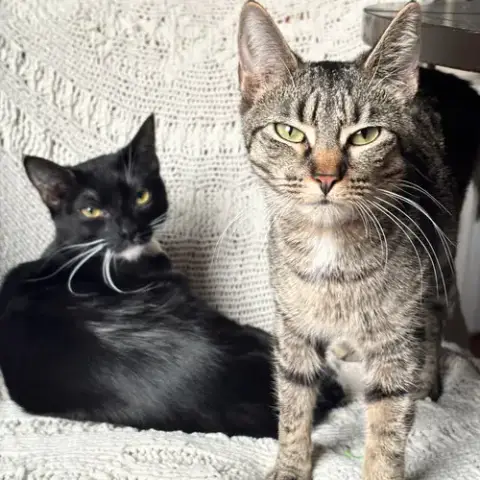 Maelle & Lune