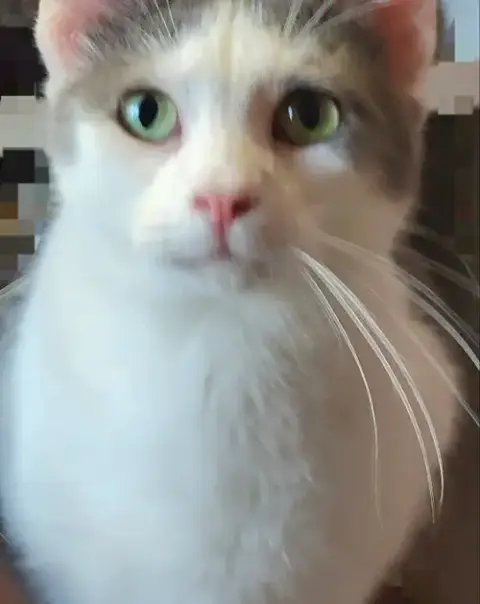 Carl photo 2