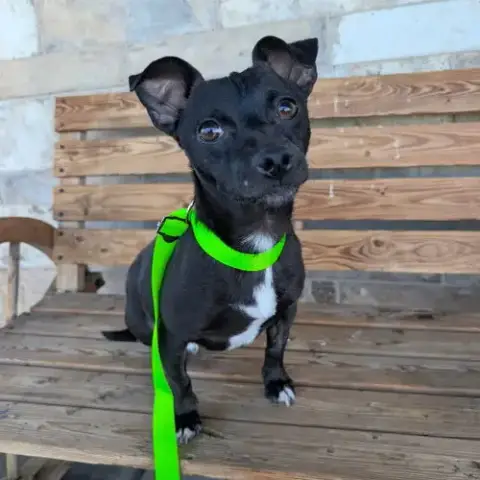 Cash