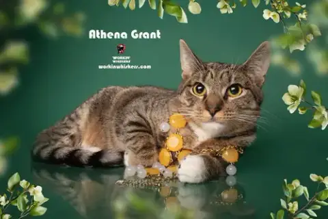 Athena Grant
