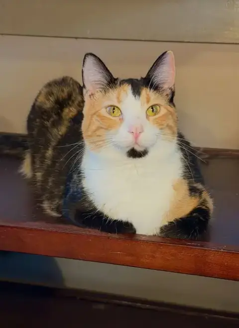 Mona Lisa