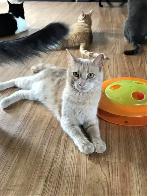 Butters photo 4