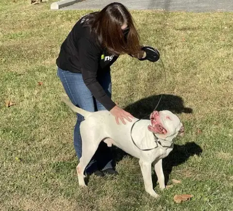 Petey In Covington Va