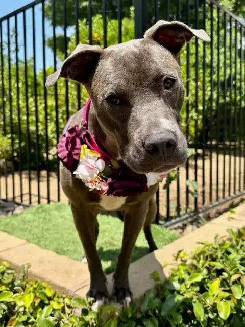 Jada photo 3