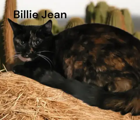 Billie Jean photo 2