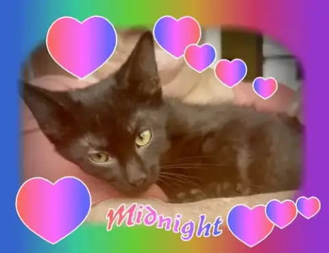 Midnight photo 2