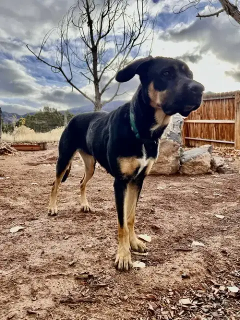 Zena photo 4