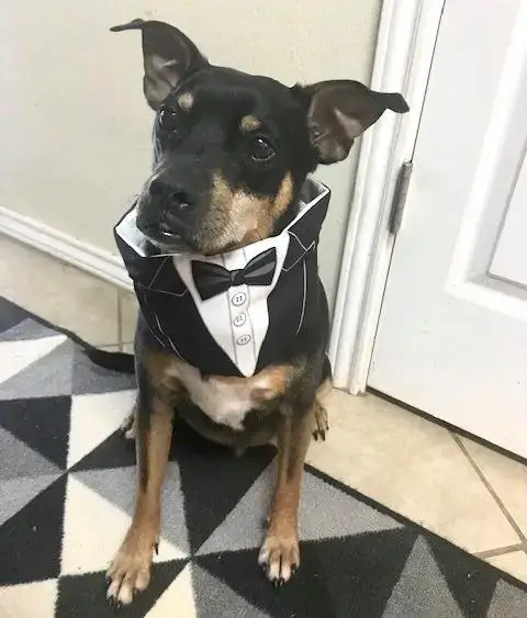 Roscoe photo 3