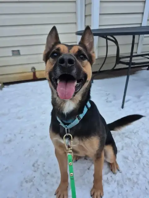 Frankie photo 3