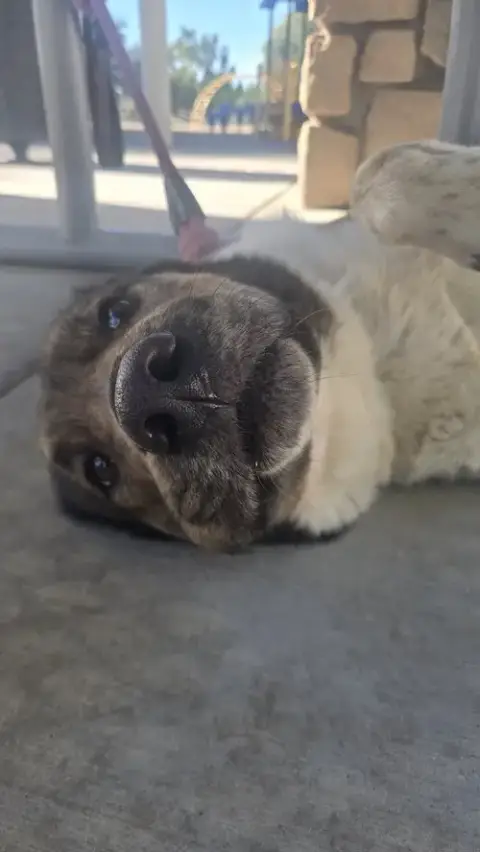 Marnie photo 2