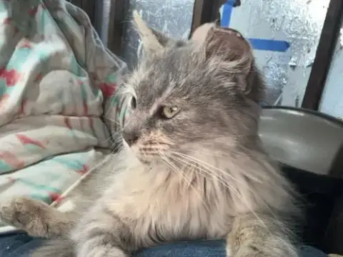 Tatelynn photo 3