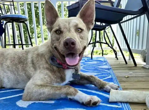 Copper