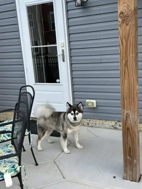 Lucky photo 3