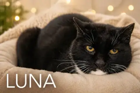 Luna