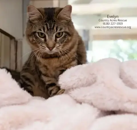 Evelyn photo 3