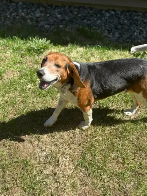 Bruce photo 2