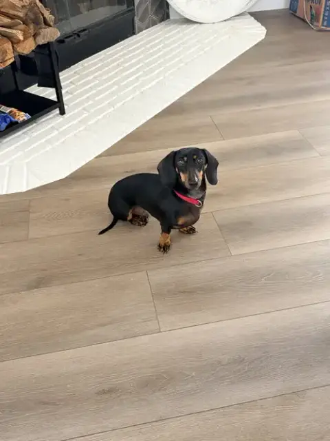 Max photo 3