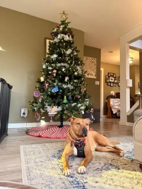 Katie