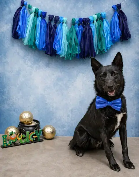 Taz photo 3