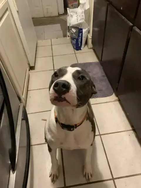 Buster