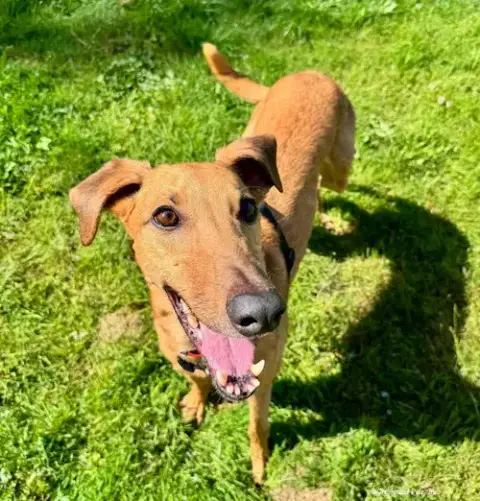 Jonathan photo 2