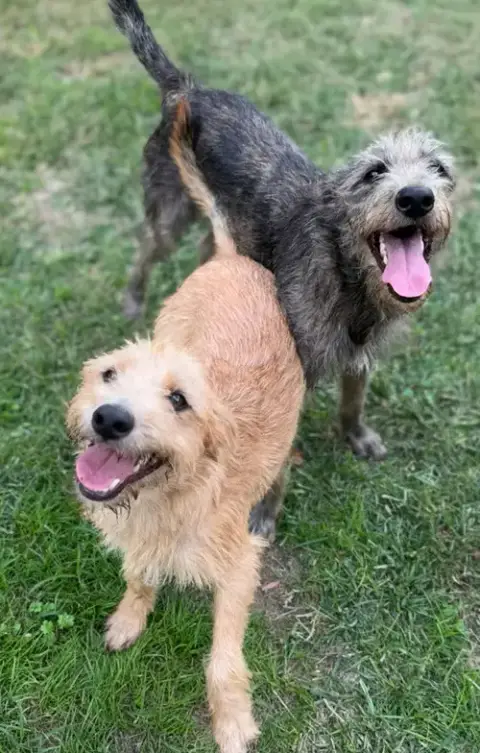 Andy And Benji photo 3