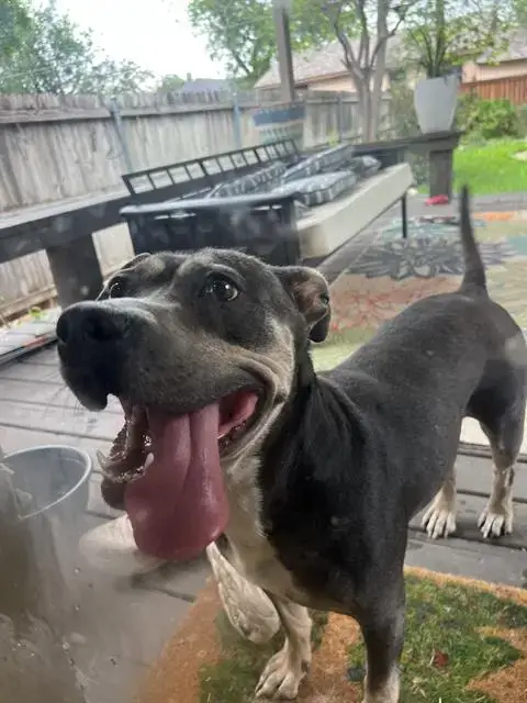 Lucy