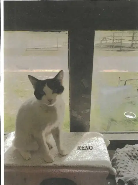Reno